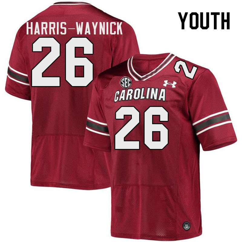 Youth #26 Nathan Harris-Waynick South Carolina Gamecocks 2023 College Football Jerseys Stitched-Garn